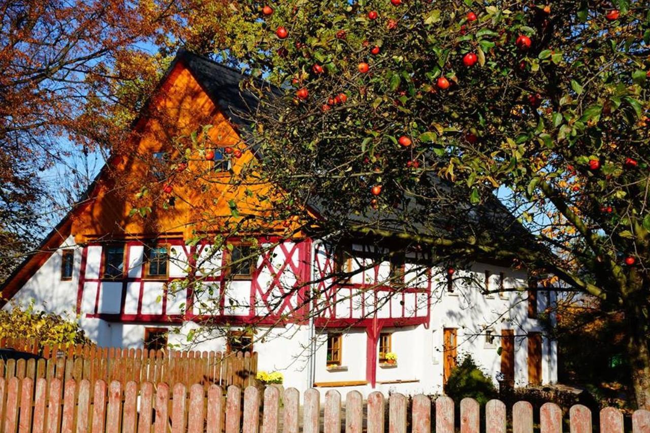 Gajowe Zacisze Bed & Breakfast Mirsk ภายนอก รูปภาพ